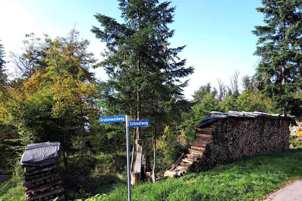 Gemütliche Waldrandlage in Badenweiler Sehringen Ferienwohnung Exterior foto