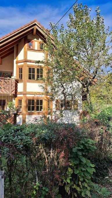Gemütliche Waldrandlage in Badenweiler Sehringen Ferienwohnung Exterior foto