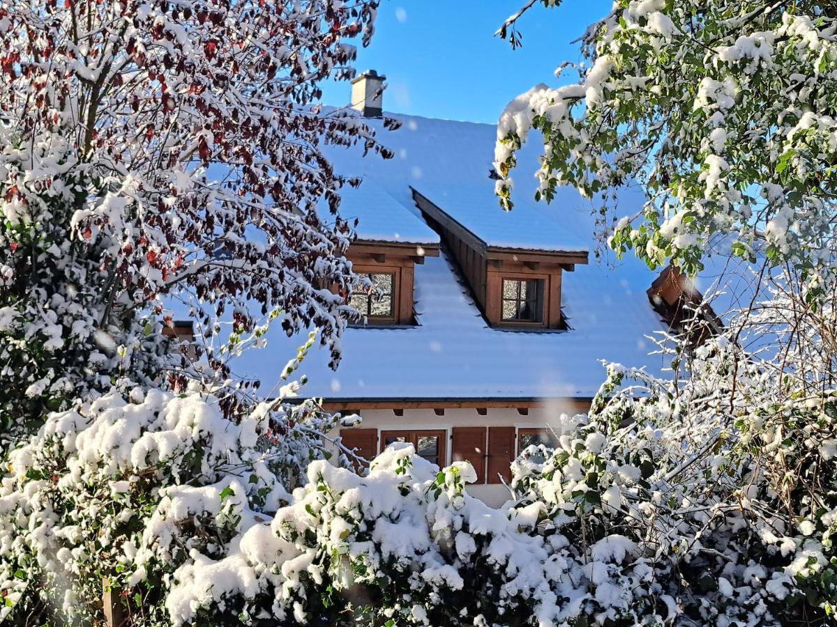 Gemütliche Waldrandlage in Badenweiler Sehringen Ferienwohnung Exterior foto