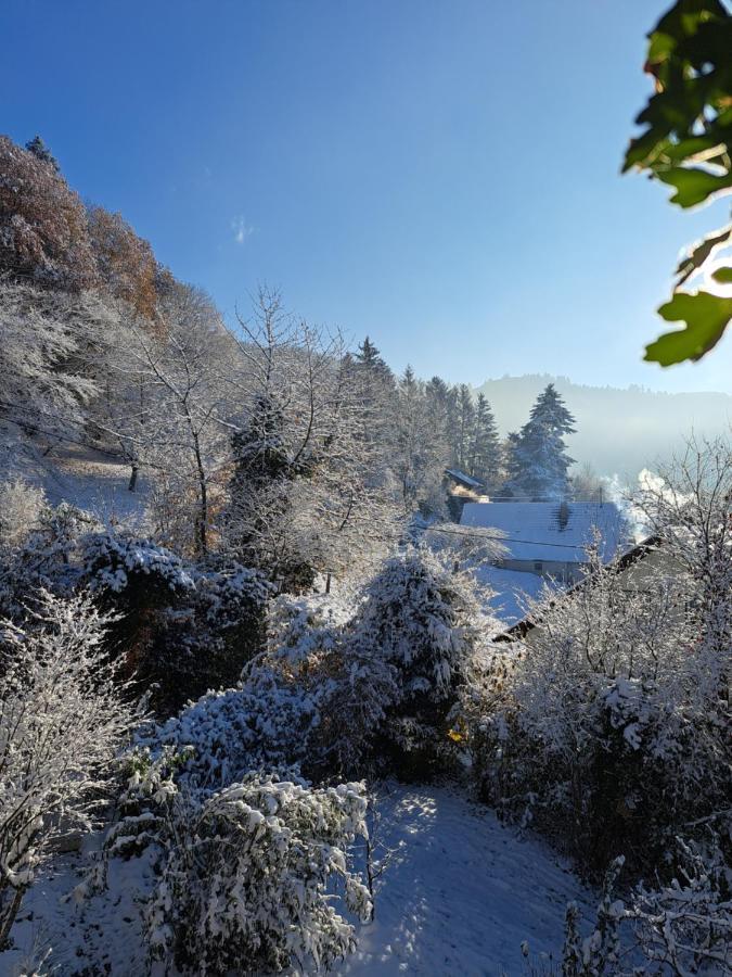 Gemütliche Waldrandlage in Badenweiler Sehringen Ferienwohnung Exterior foto